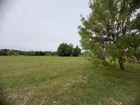 Terreno en Venta en Altos Del Casco, USD 25.000