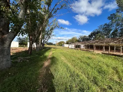 Venta terreno con casa 3 ambientes de 25789m2 - Mercedes, Buenos Aires