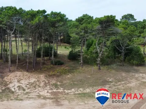 Venta Lote, Bosques Pinamar
