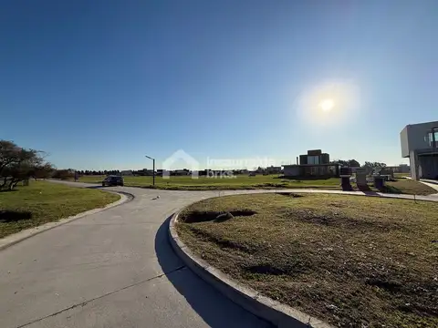 LARES DE CANNING 100