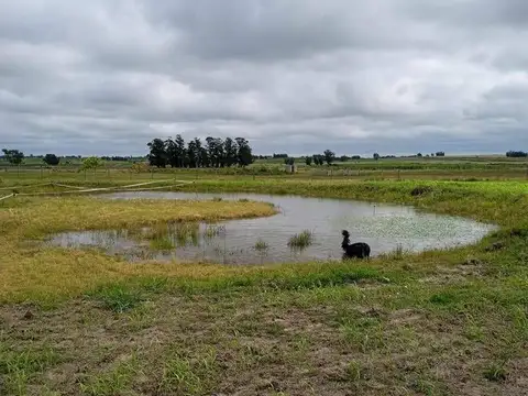 Venta Chacra 3 Hectareas con casa entre Tala y San Jacinto