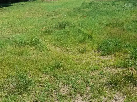 Terreno en venta-Barrio La Magdalena General Roca