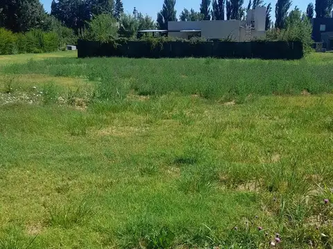 Gobernador Castelló 700