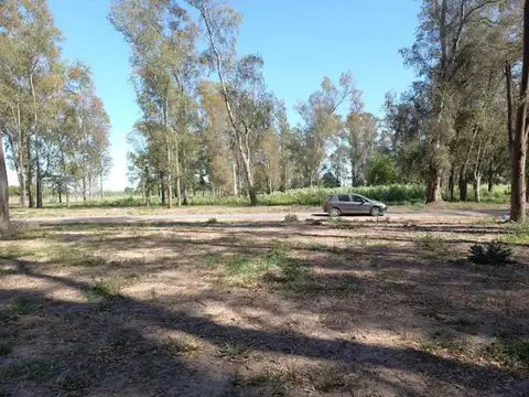 Terreno en Venta de 957,0 m2