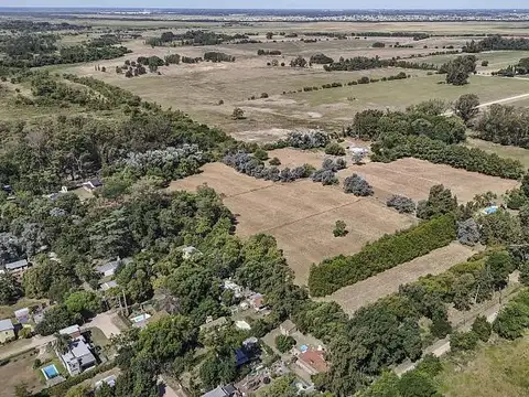 Venta 3 hectáreas a fraccionar – Excelente oportunidad de chacras en Los Cardales