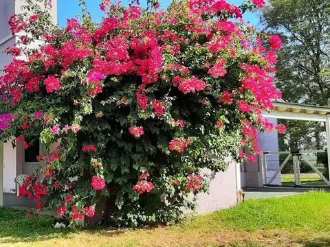 Casa en Venta 20 años