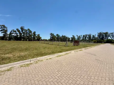 Terreno en Venta en Cortines, USD 42.000