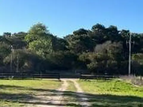 Lote en Venta en Colonia Marina