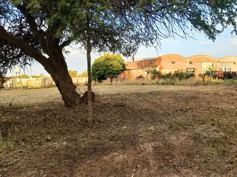 Raúl D Atri