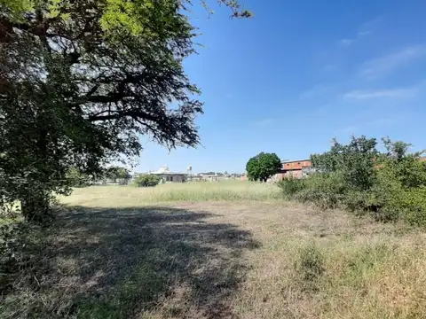 Raúl D Atri
