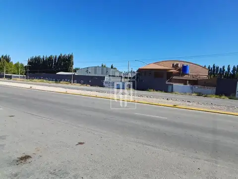Alquiler de predio con galpon, oficinas y playa de maniobras sobre  ruta 7 - centenario