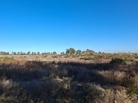 CALLE EL BOSQUE ANTES DE BELGRANO, ANGACO, SAN JUAN, ARGENTINA 100