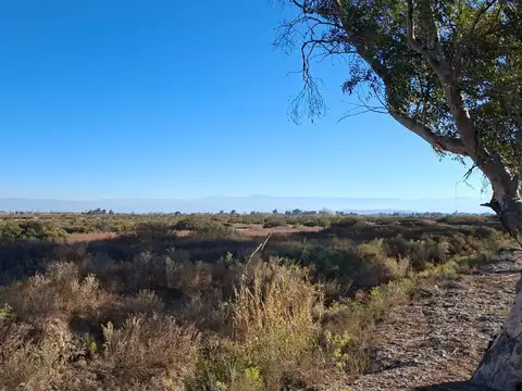 Terreno en Venta de 54418,0 m2