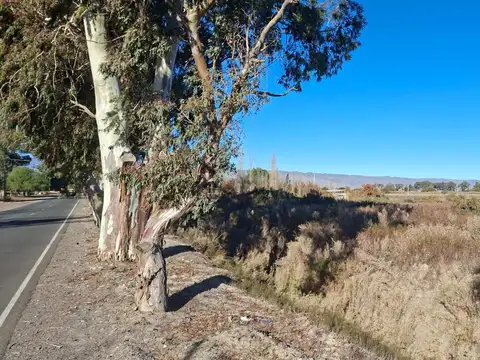 Terreno en Venta en El Bosque, USD 47.000
