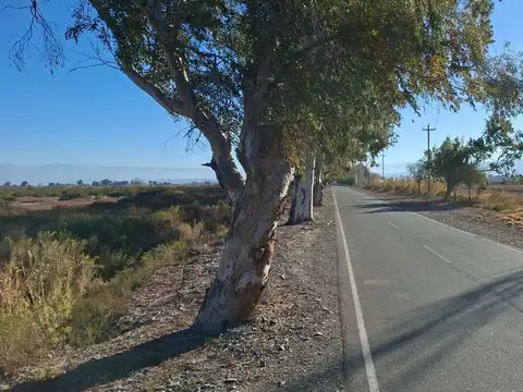 TERRENO EN ANGACO 5 HECTÁREAS