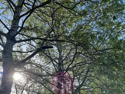 Terreno en Venta de 3100,0 m2