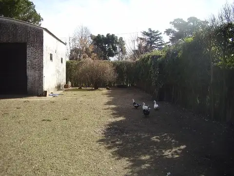 Galpon en Venta en Maquinista F Savio, USD 95.000