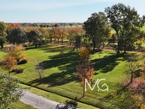 Venta Terreno en Fincas de San Vicente Chacras