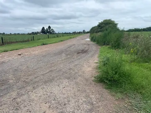 10 has acceso asfaltado y luz en frente.