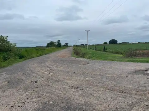 11 has acceso asfaltado y luz en frente.