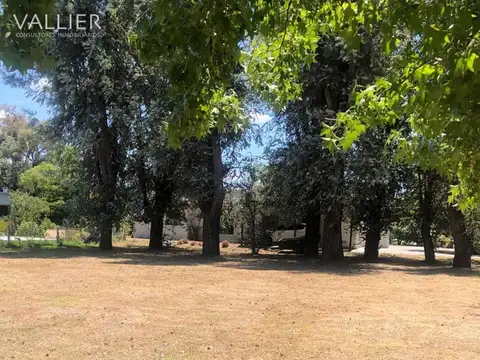 Pilar, Springdale 100