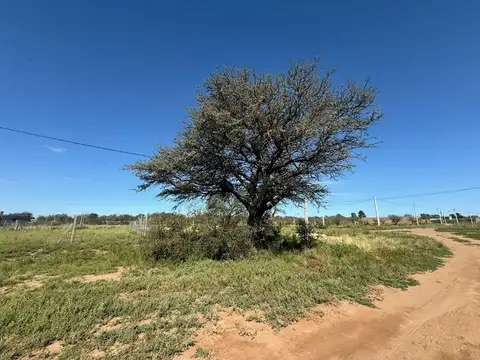 Luis Denegri LOTE 1