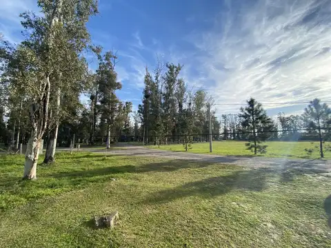 Terreno en  Campo Timbo - Oliveros