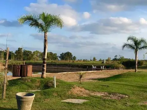 Campos De La Enriqueta