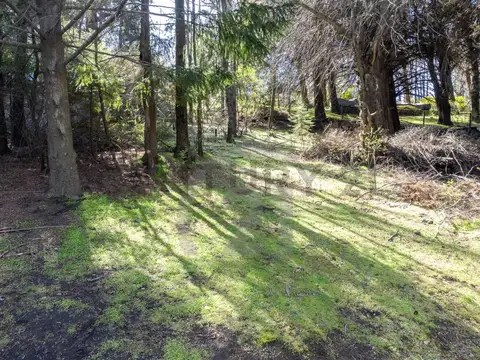 VENTA LOTE SAN MARTIN DE LOS ANDES. APROBADO CON PROYECTO COMERCIAL ALTOS DEL SOL