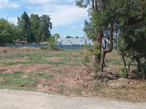 Lote en Venta en La Plata, Parque Sicardi
