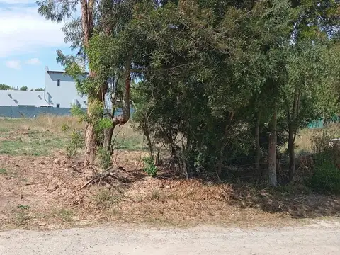 Terreno en Venta de 300,0 m2