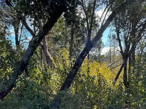 Terreno en Venta en Puerto, USD 85.000