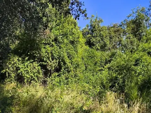 Terreno en Venta en Puerto, USD 85.000