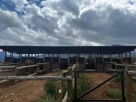 Terreno en Venta en Las Compuertas, USD 15.000