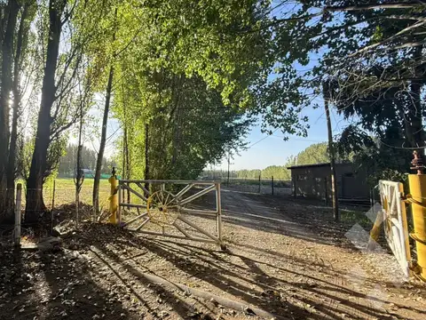 Terreno en Venta en Plottier, Confluencia