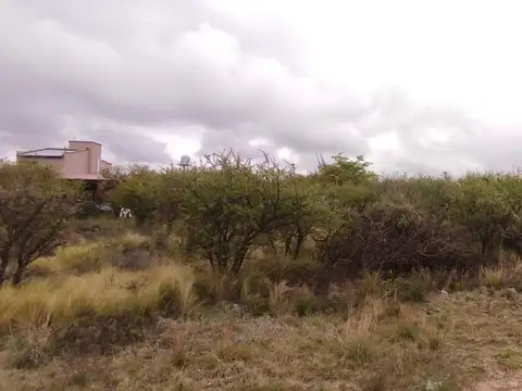 Lote en cortaderas de 870mts2 con escritura