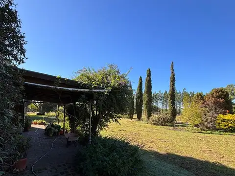 Chacra en excelente estado a 40 min de Paysandú