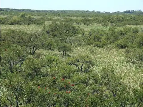 Terreno en Venta de 10682,0 m2
