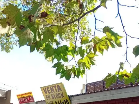 LOTE EN VENTA MONTE CASTRO