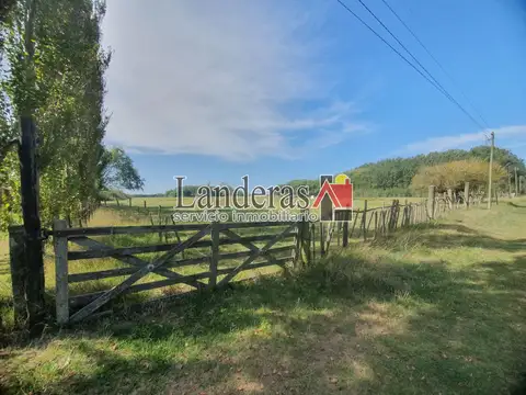 Hermosa Casa sobre lote arbolado de una hectárea