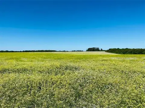 Campo en Venta Agricola