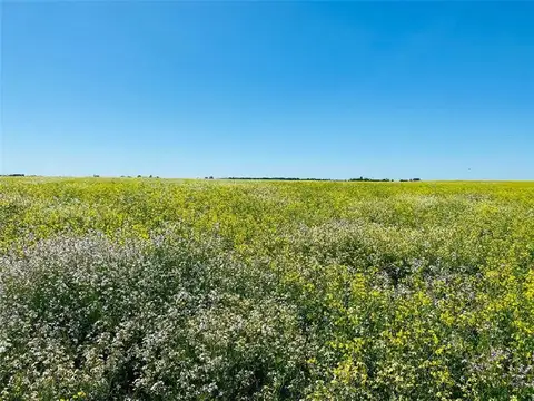 PROPIEDADES RURALES - AGRICOLA - ZONAS RURALES