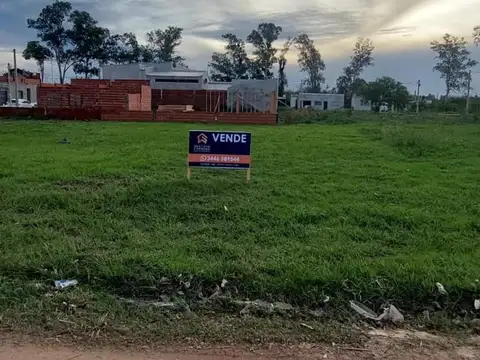 R. Del Líbano Y Los Cerezos