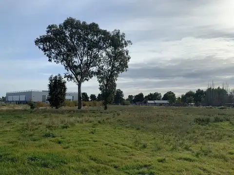 Hermoso Terreno En Venta (40x80) Belgrano 5000