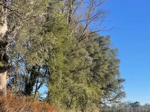 Terreno en Venta de 313,0 m2