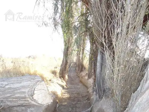 Finca en Venta 5 Hectareas Campo Real Del Padre, San Rafael - Mendoza