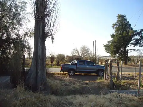 Finca en Venta 5 Hectareas Campo Real Del Padre, San Rafael - Mendoza