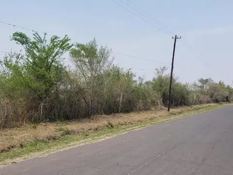 VENTA DE CAMPO 12.50 HAS EN SAN LUIS DEL PALMAR CORRIENTES