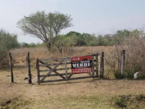 VENTA DE CAMPO 12.50 HAS EN SAN LUIS DEL PALMAR CORRIENTES