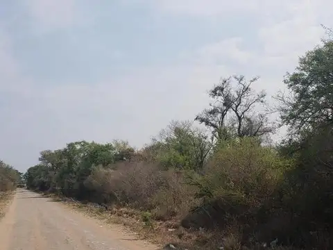 San Luis Del Palmar